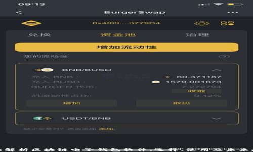
全面解析区块链电子钱包软件：选择、使用及未来趋势