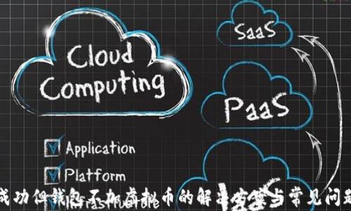 
接收成功但钱包不加虚拟币的解决方案与常见问题解析