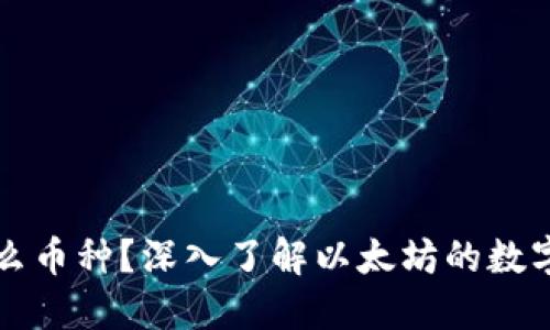 以太坊钱包是什么币种？深入了解以太坊的数字资产与使用场景