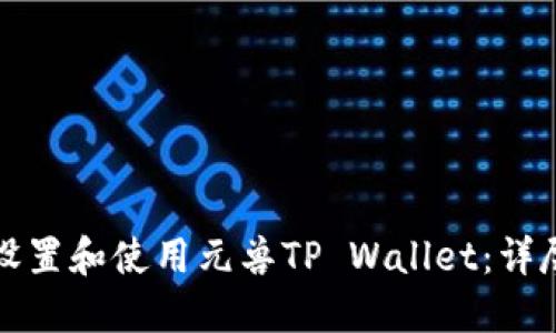 如何设置和使用元兽TP Wallet：详尽指南