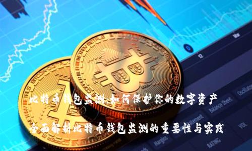 比特币钱包监测：如何保护你的数字资产

全面解析比特币钱包监测的重要性与实践
