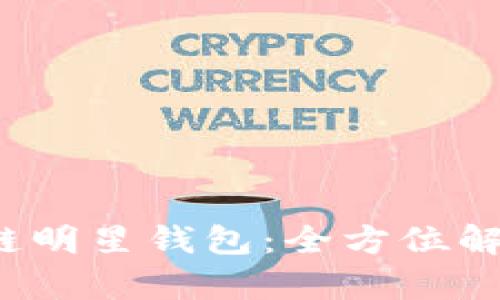 2019年区块链明星钱包：全方位解析与使用指南