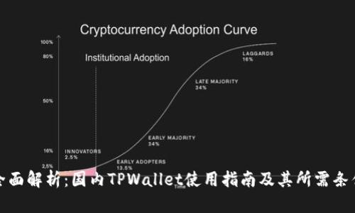 全面解析：国内TPWallet使用指南及其所需条件