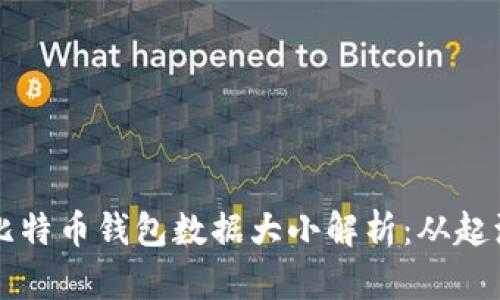 : 11年比特币钱包数据大小解析：从起源到当前