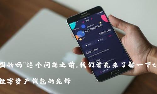 在回答“tpWallet是中国的吗”这个问题之前，我们首先来了解一下tpWallet的背景和特点。

### tpWallet：全球数字资产钱包的先锋