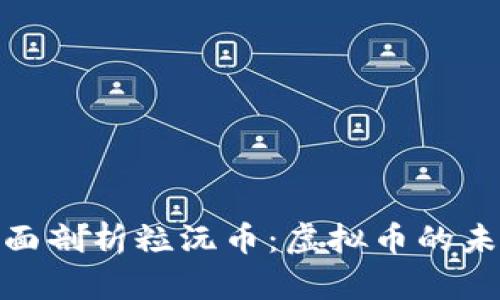 יבערti全面剖析粒沅币：虚拟币的未来与应用前景