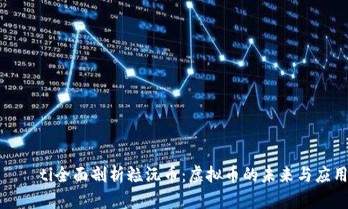 יבערti全面剖析粒沅币：虚拟币的未来与应用前景