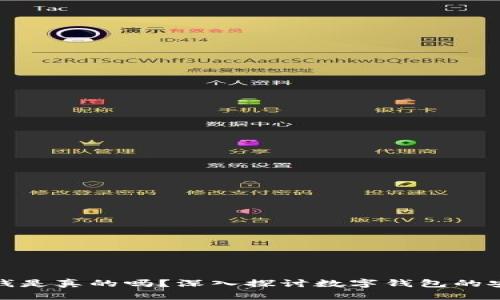 tpwallet上的钱是真的吗？深入探讨数字钱包的安全性与真实性