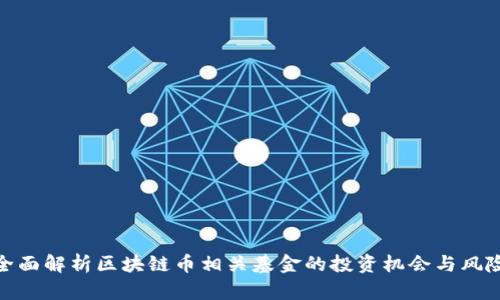全面解析区块链币相关基金的投资机会与风险