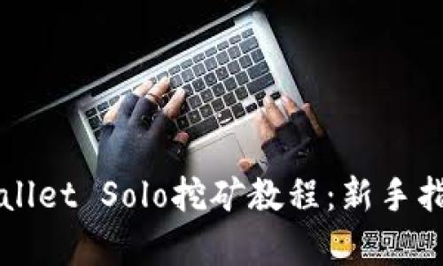 全面解析tpWallet Solo挖矿教程：新手指南与最佳实践