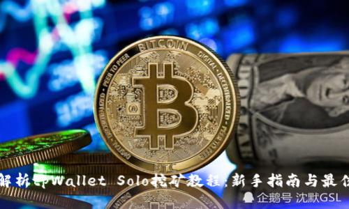 全面解析tpWallet Solo挖矿教程：新手指南与最佳实践