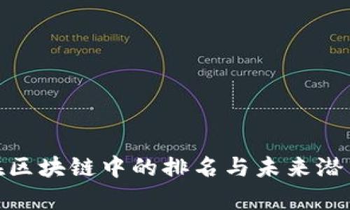 Pi币在区块链中的排名与未来潜力分析