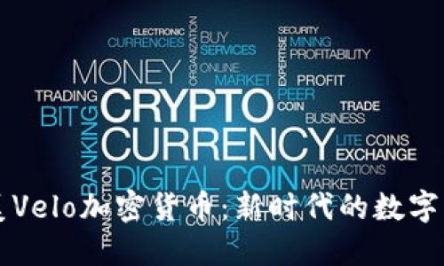 华美Velo加密货币：新时代的数字资产