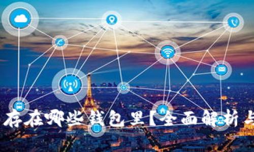 USDT可以存在哪些钱包里？全面解析与选择指南