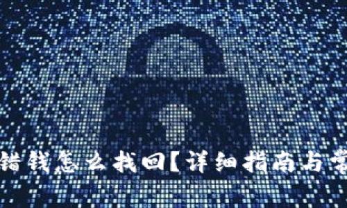 tpwallet转错钱怎么找回？详细指南与常见问题解答