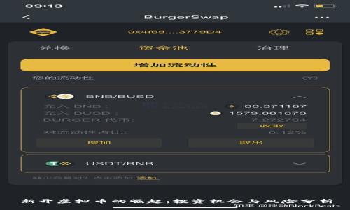 新开虚拟币的崛起：投资机会与风险分析