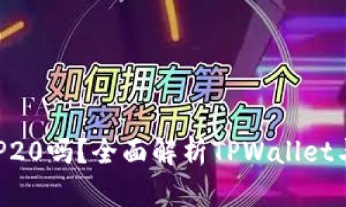 tpwallet兼容BEP20吗？全面解析TPWallet与BEP20的兼容性