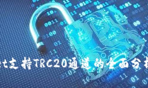 tpwallet支持TRC20通道的全面分析与应用