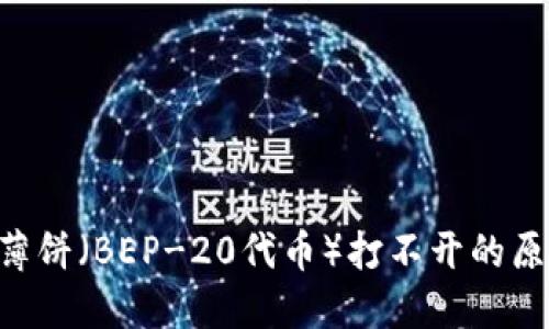 TP Wallet里薄饼（BEP-20代币）打不开的原因及解决方法