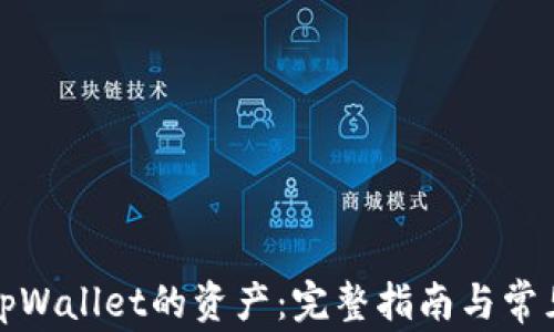 
如何找回tpWallet的资产：完整指南与常见问题解答