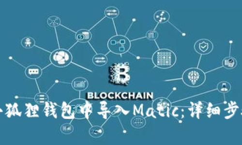 如何在小狐狸钱包中导入Matic：详细步骤与解析