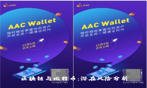 区块链与比特币：潜在风险分析