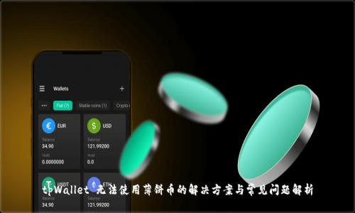 tpWallet 无法使用薄饼币的解决方案与常见问题解析