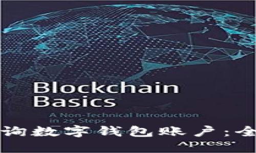 如何查询数字钱包账户：全面指南