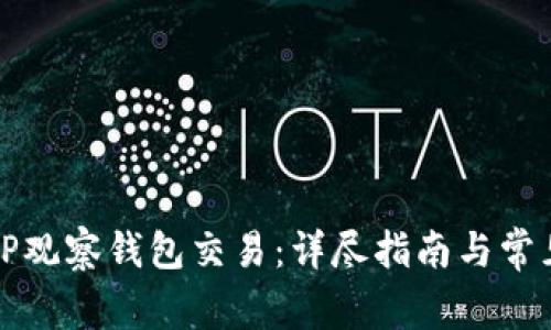 如何使用TP观察钱包交易：详尽指南与常见问题解答