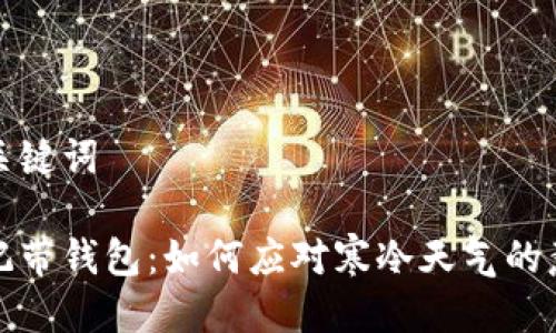 思考及关键词

出门忘记带钱包：如何应对寒冷天气的意外状况