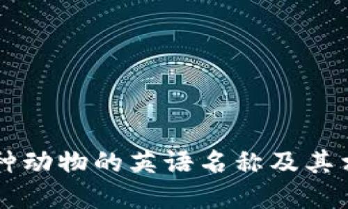 了解各种动物的英语名称及其相关信息