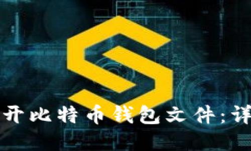 如何打开比特币钱包文件：详细指南