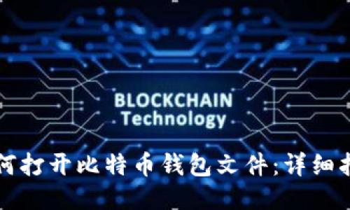 如何打开比特币钱包文件：详细指南