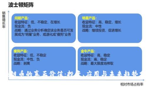 区块链币的真正价值：投资、应用与未来趋势分析