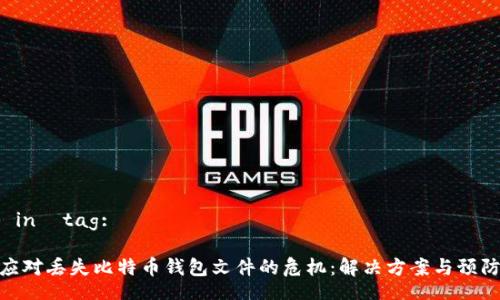 Title in  tag:

如何应对丢失比特币钱包文件的危机：解决方案与预防措施