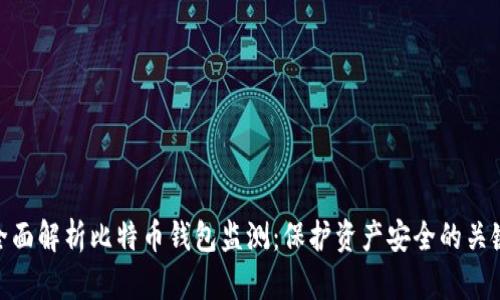 全面解析比特币钱包监测：保护资产安全的关键