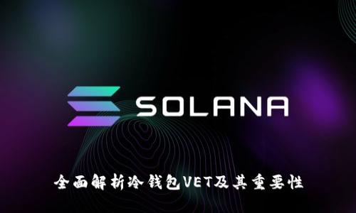 全面解析冷钱包VET及其重要性