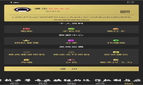 深入解析云尊币区块链的运作机制与应用前景