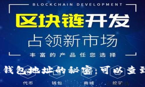 探索区块链钱包地址的秘密：可以查到哪些信息？