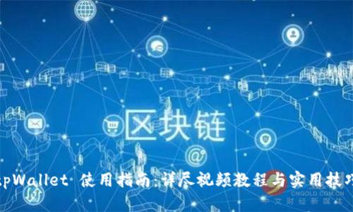 tpWallet 使用指南：详尽视频教程与实用技巧
