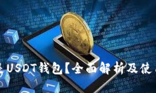 什么是USDT钱包？全面解析及使用指南