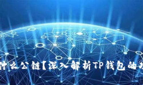 TP钱包是什么公链？深入解析TP钱包的功能与应用