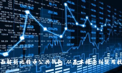 全面解析比特币公共钱包：从基本概念到使用技巧