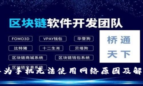 tpWallet华为手机无法使用网络原因及解决方法详解