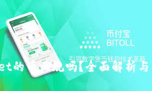  tpWallet的币正规吗？全面解析与用户指南