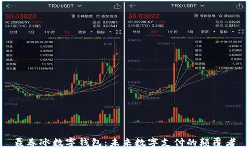 
聂春冰数字钱包：未来数字支付的颠覆者