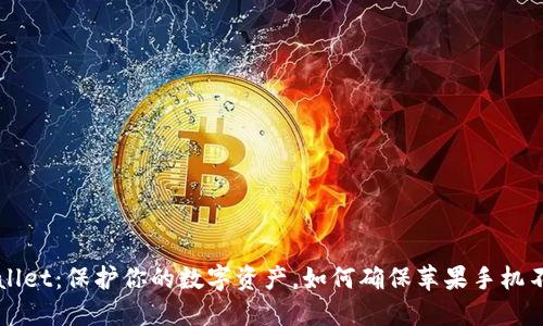 TPWallet：保护你的数字资产，如何确保苹果手机不被盗？