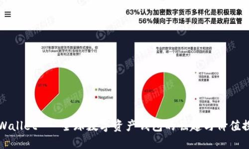 TPWallet - 全球数字资产钱包的崛起与价值探索