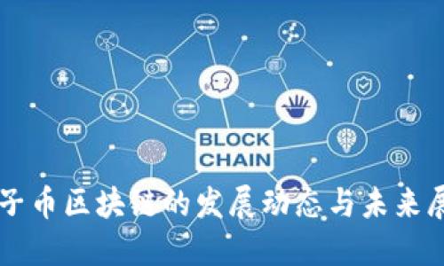柚子币区块链的发展动态与未来展望