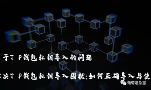 关于T P钱包私钥导入的问题

解决T P钱包私钥导入困扰：如何正确导入与使用